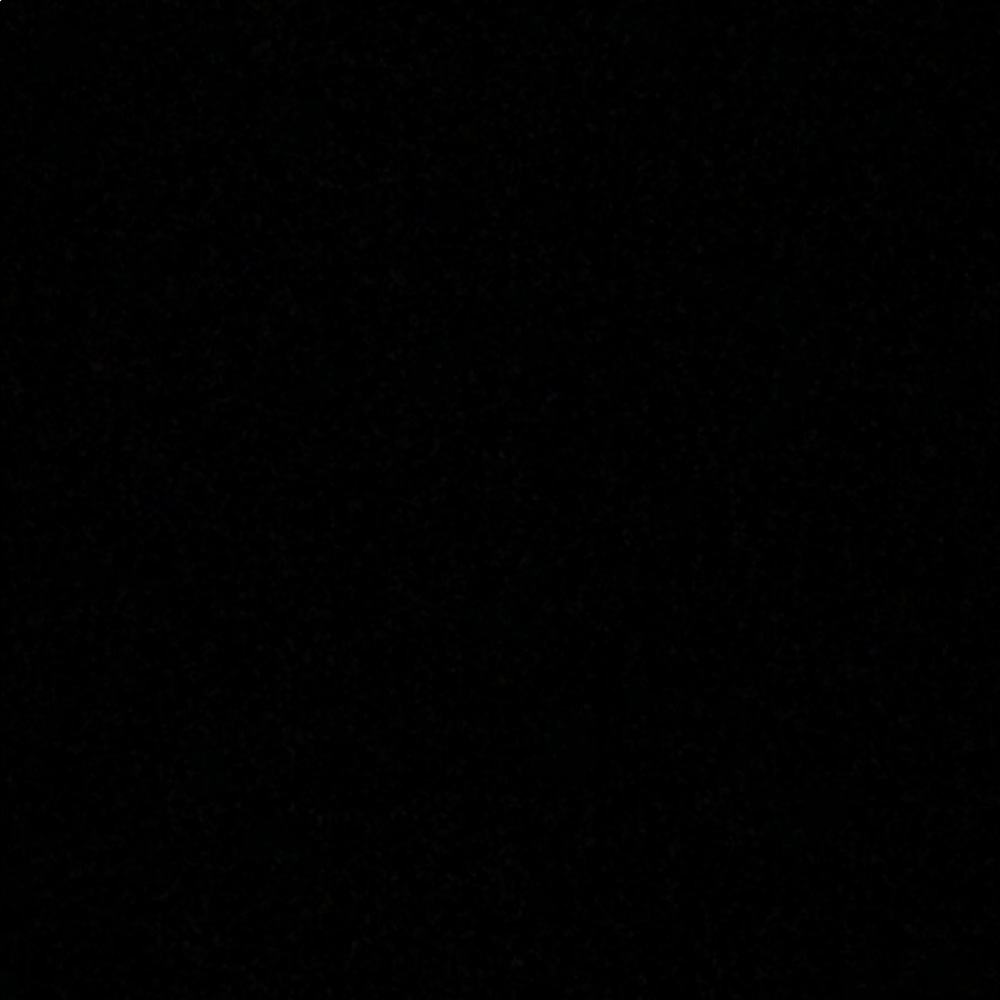 Meet your Posher, Elaine